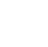 Icon_Li